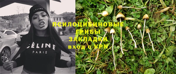 хмурый Карталы