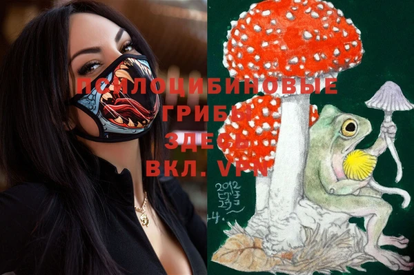 кокаин VHQ Каменногорск