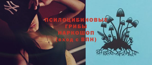 прущие крисы Карпинск